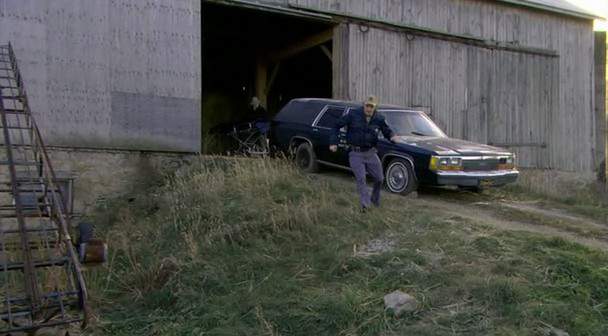 Ford LTD Crown Victoria Wagon