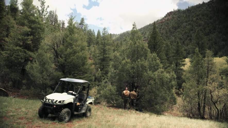 Yamaha Rhino