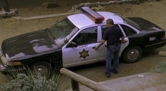 1995 Ford Crown Victoria in Lake Dead