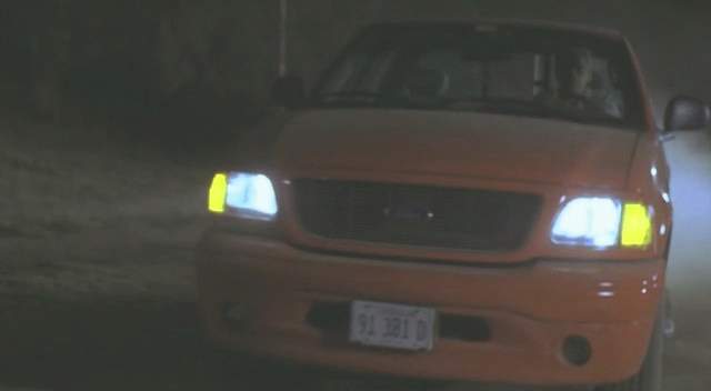 2004 Ford F-150 Heritage in Lake Dead