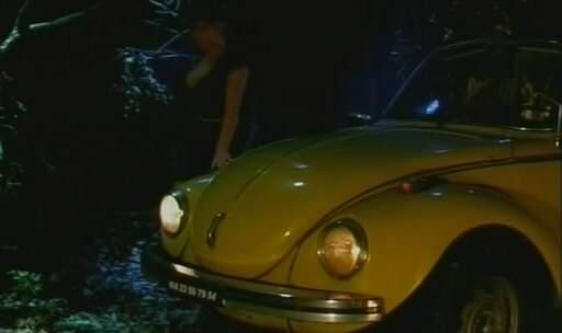 1973 Volkswagen 1303 Typ 1 in Fantom Kiler 3