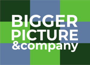 Bigger Picture, The