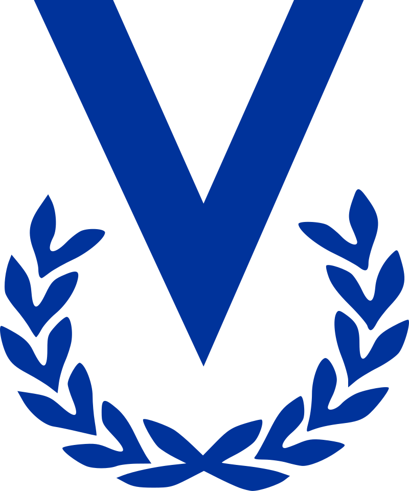 Venevision International