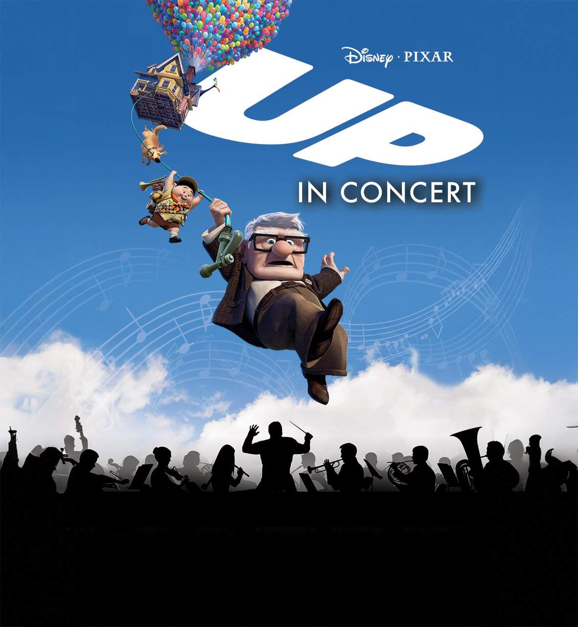 Concert Film