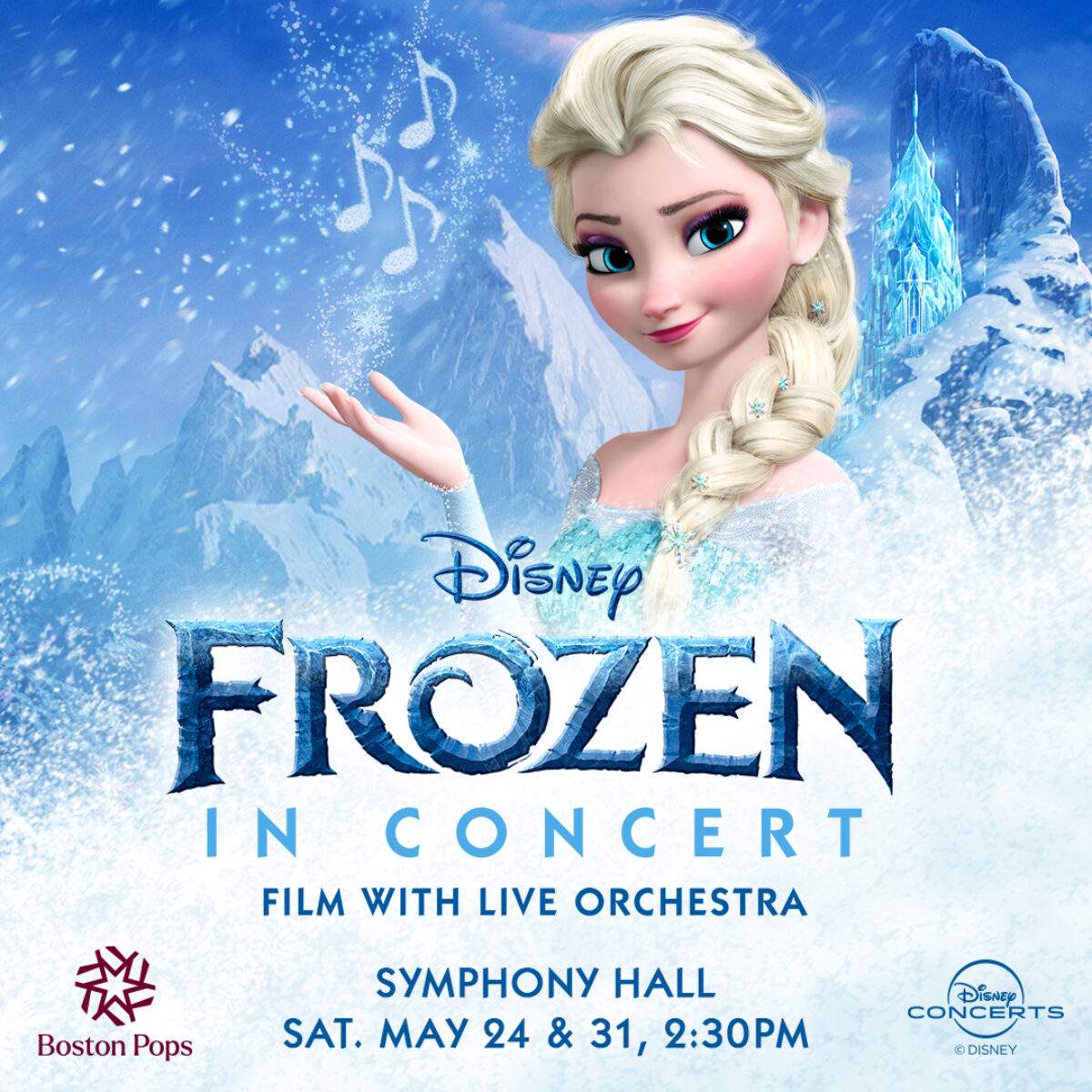 Concert Film