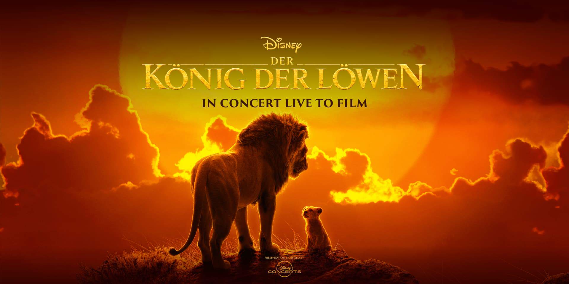 Concert Film