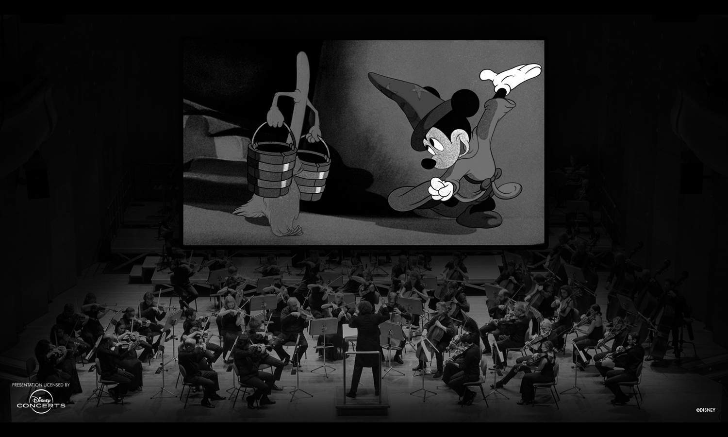 Concert Film
