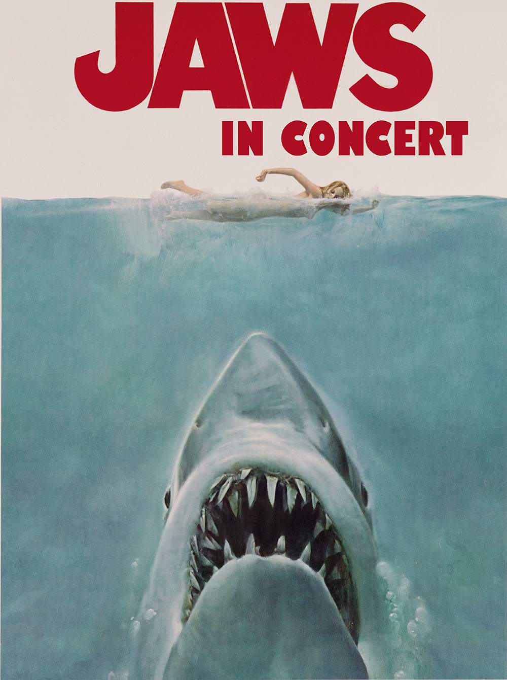 Concert Film