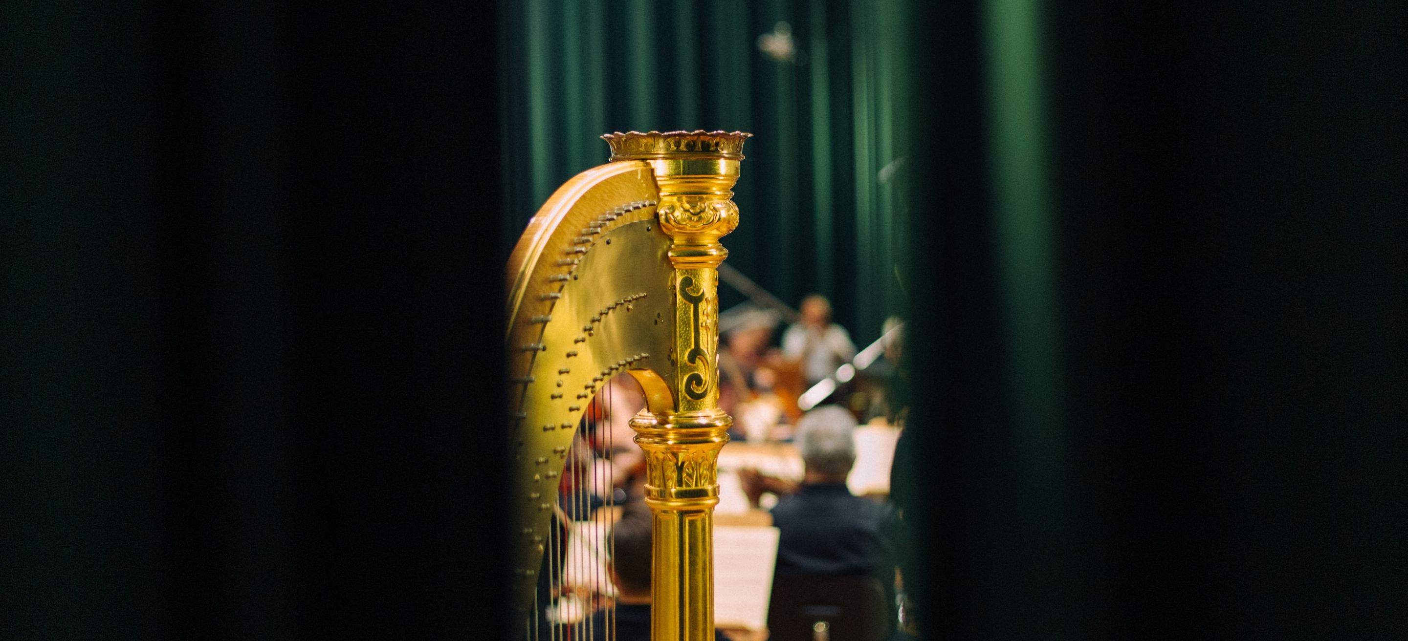 Concert Film