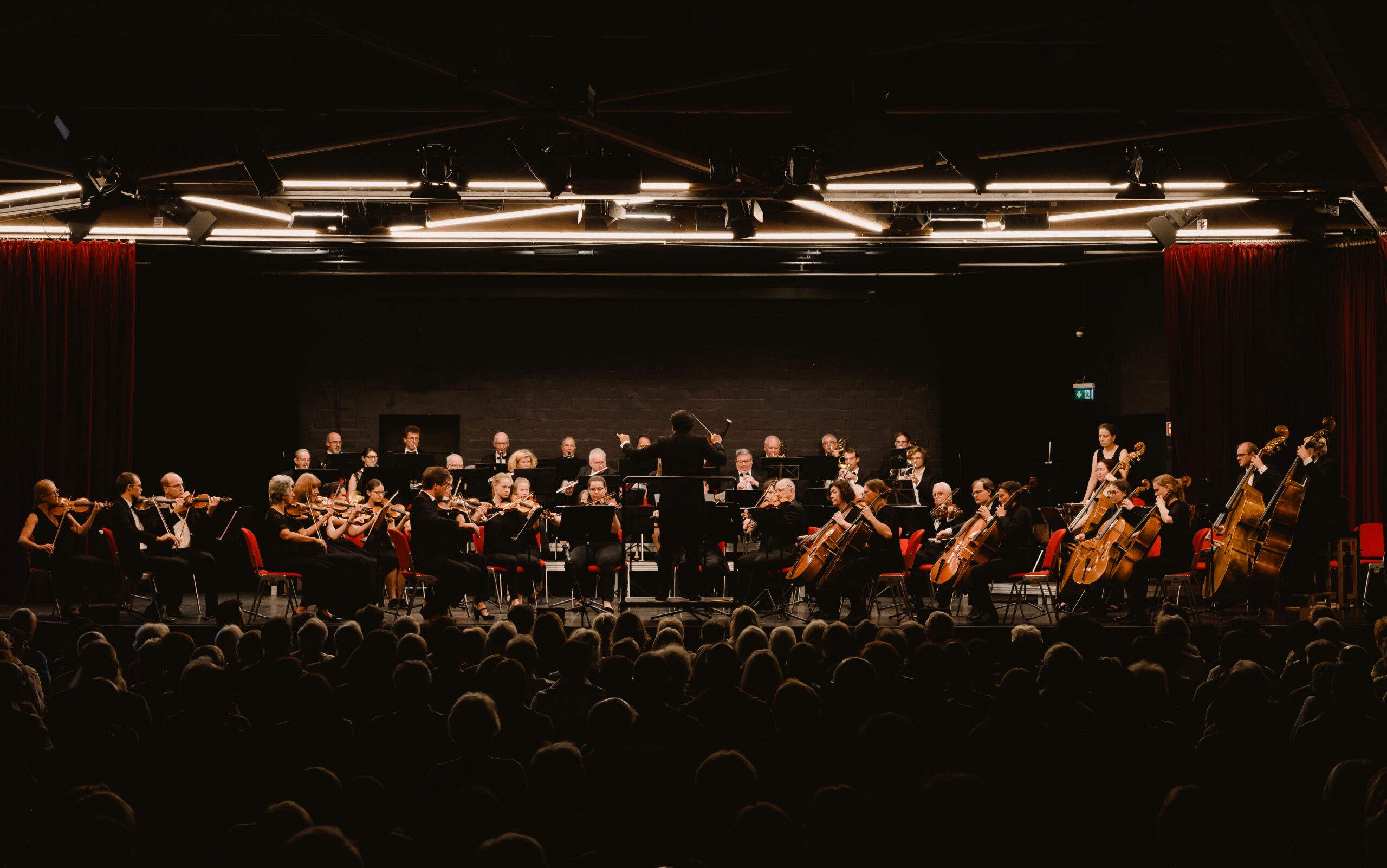Concert Film