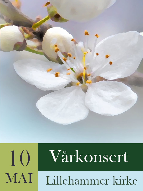 Concert Film