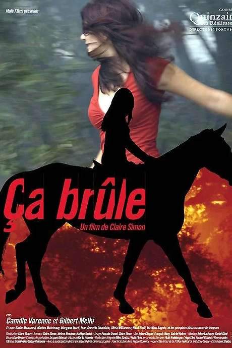 Ça brûle (2006) movie poster