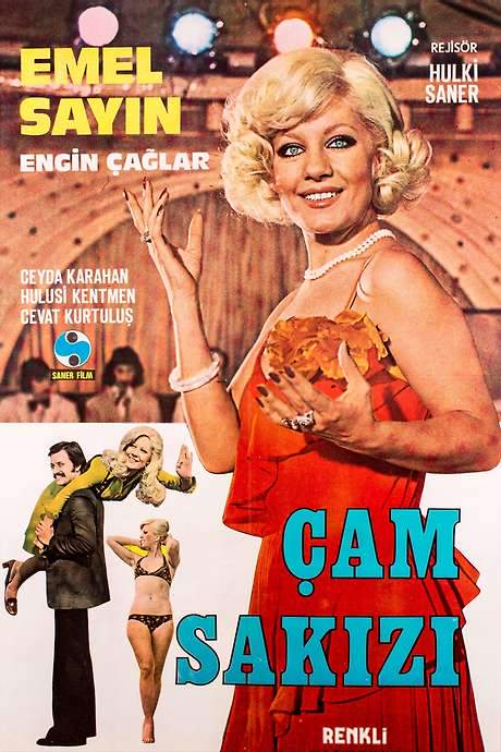 Çam Sakızı (1974) movie poster