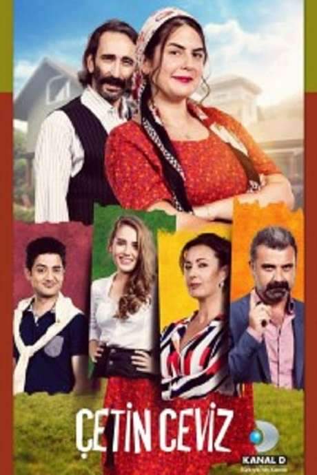 Çetin Ceviz (2016) movie poster