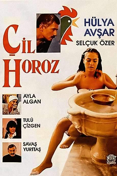 Çil Horoz (1986) movie poster