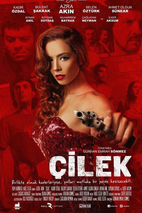 Çilek (2014) movie poster