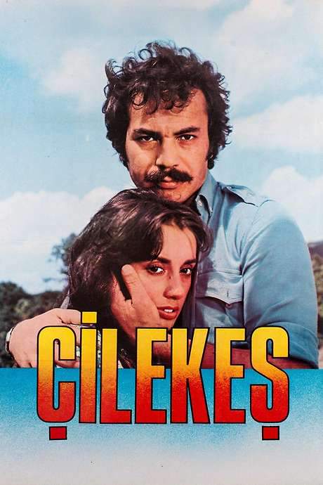 Çilekeş (1978) movie poster