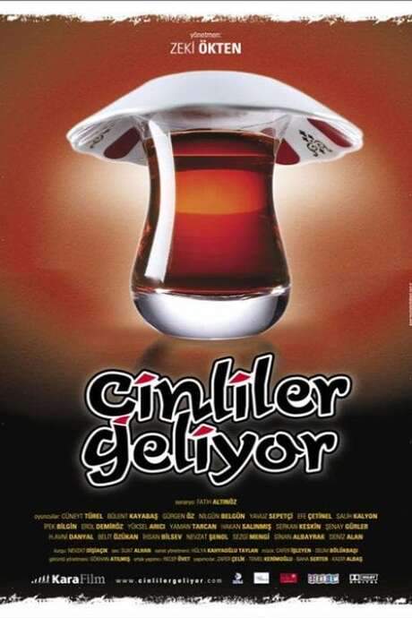 Çinliler Geliyor (2006) movie poster