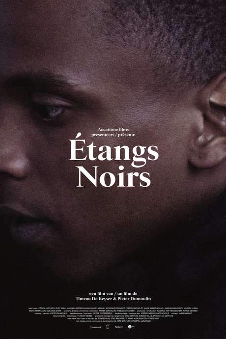 Étangs Noirs (2018) movie poster
