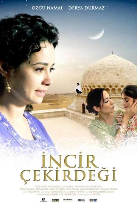 İncir Çekirdeği (2009) movie poster