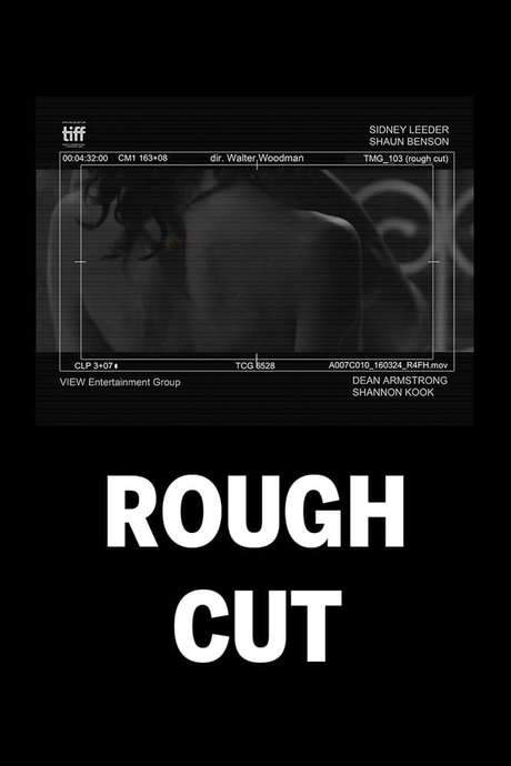 (rough cut) (2016) movie poster