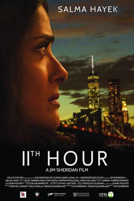 11th Hour (2017) movie poster