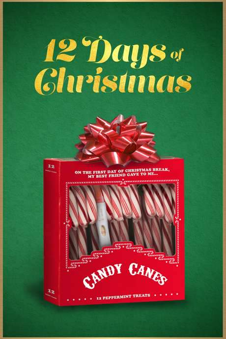 12 Days of Christmas (2020) movie poster