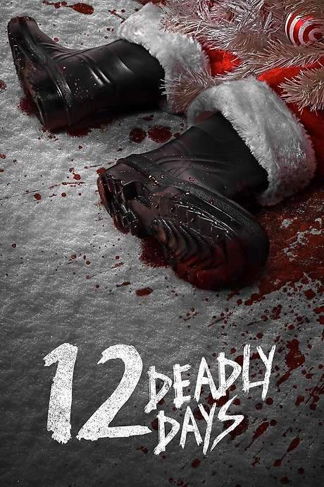 12 Deadly Days (2016) movie poster