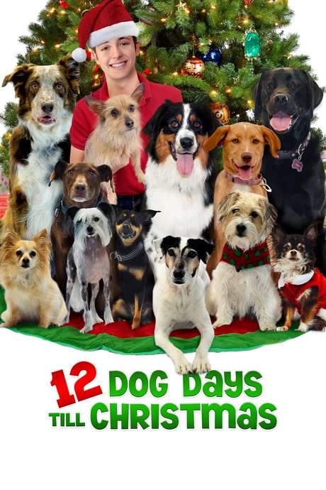 12 Dog Days Till Christmas (2014) movie poster