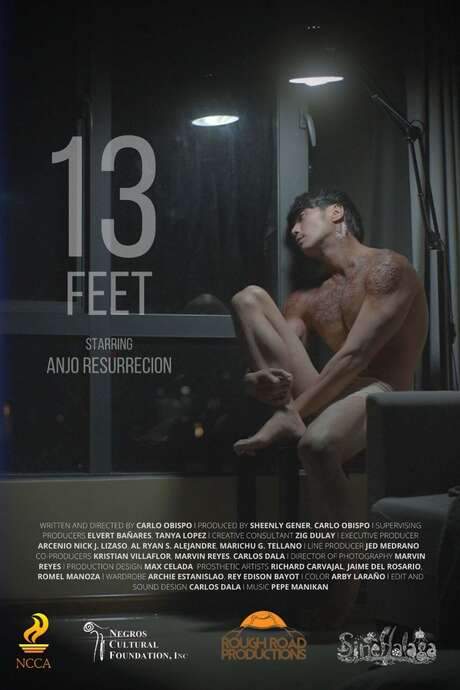 13 Feet (2021) movie poster