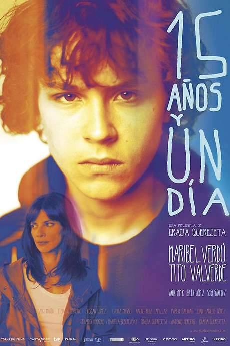 15 Years and One Day (2013) movie poster