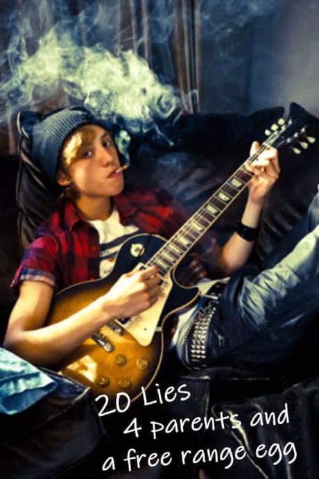 20 Lies, 4 Parents and a Little Egg (2013) movie poster