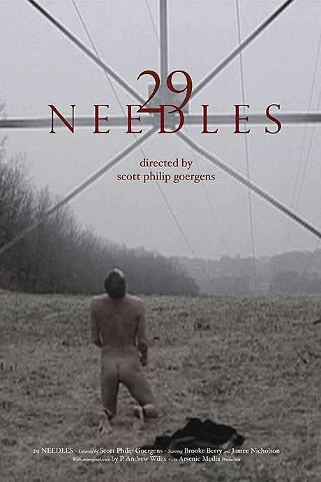 29 Needles (2019) movie poster