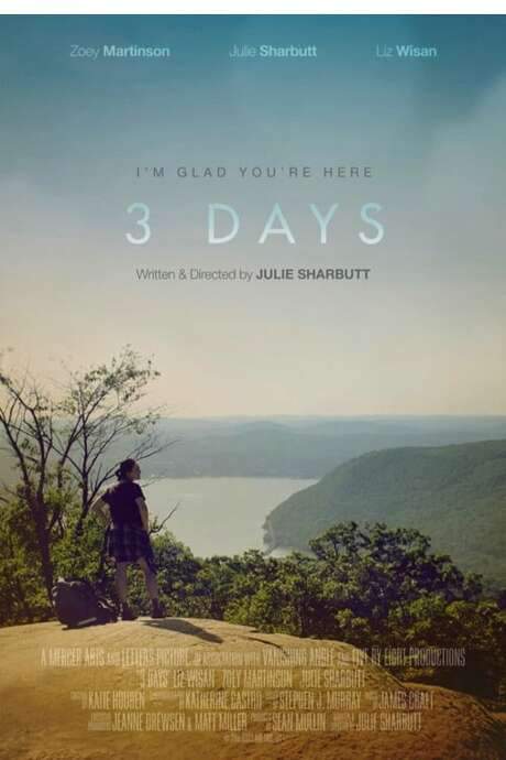 3 Days (2019) movie poster