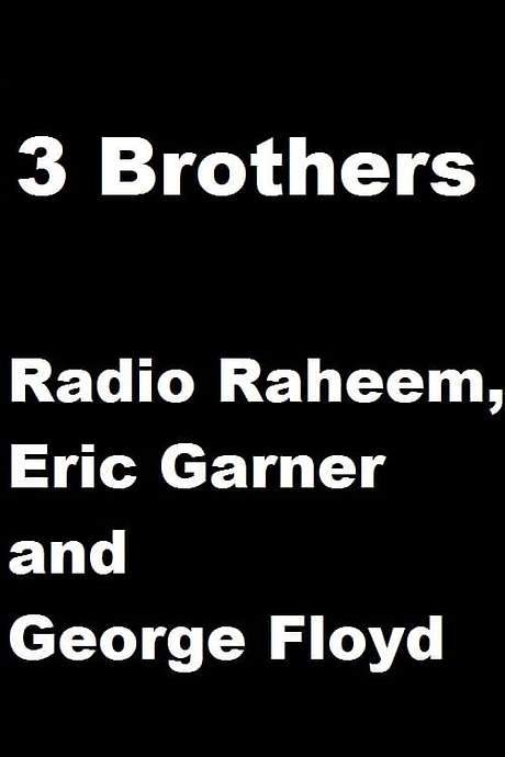 3 Brothers - Radio Raheem, Eric Garner and George Floyd (2020) movie poster
