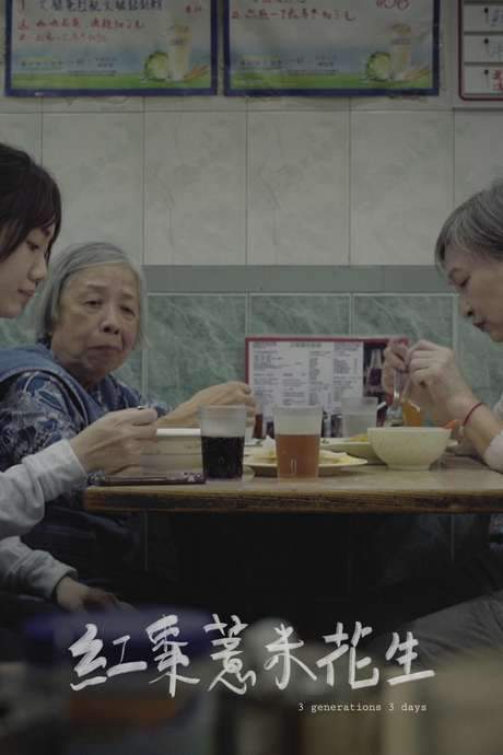 3 Generations 3 Days (2019) movie poster