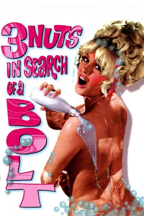 3 Nuts in Search of a Bolt (1964) movie poster
