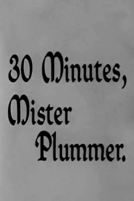 30 Minutes, Mister Plummer (1963) movie poster