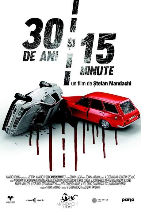 30 Years and 15 Minutes (2020) movie poster