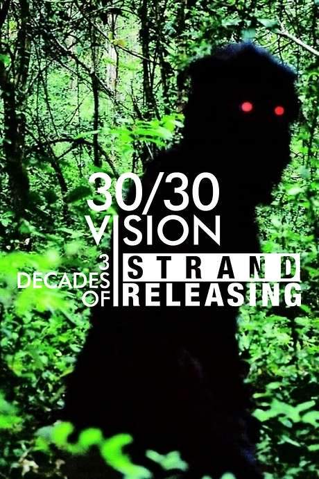30/30 Vision: Three Decades of Strand Releasing (2019) movie poster