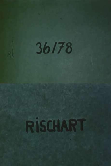 36/78: Rischart (1978) movie poster