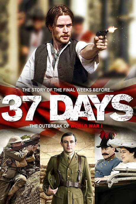 37 Days (2014) movie poster