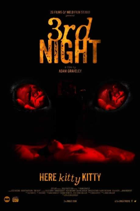 3rd Night (2017) movie poster