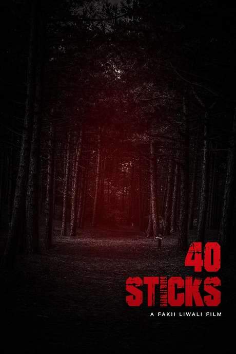 40 Sticks (2020) movie poster