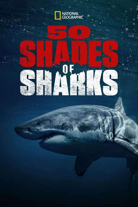 50 Shades of Sharks (2020) movie poster