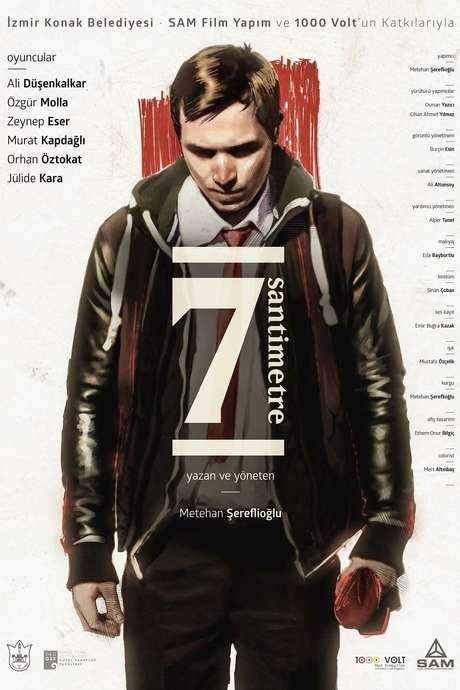 7 Centimeters (2016) movie poster
