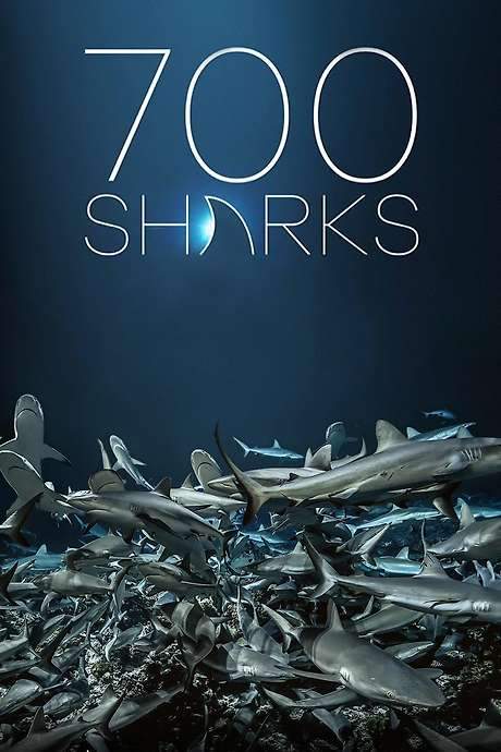 700 Sharks (2018) movie poster