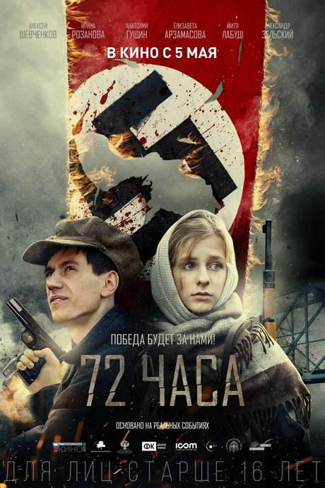 72 Hours (2016) movie poster