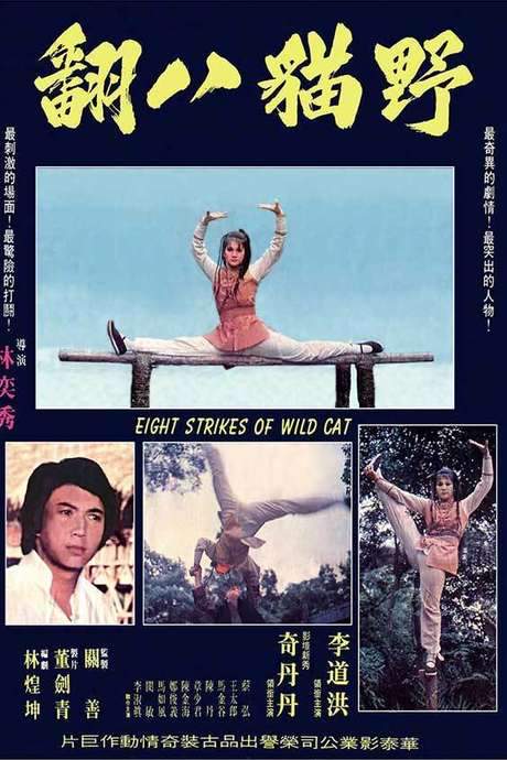 8 Strikes of the Wildcat (1976) movie poster