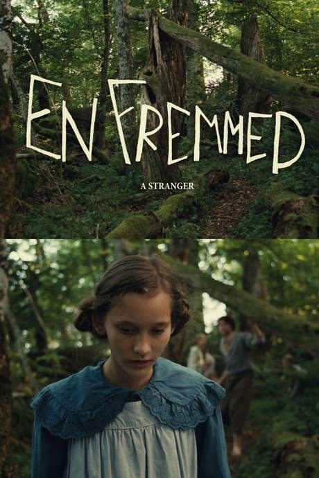 A Stranger (2014) movie poster
